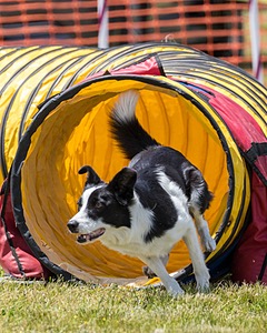 20180616-0889.jpg