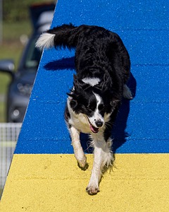 20230917-PVKC-2046.jpg