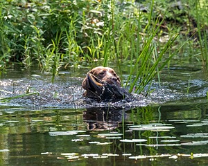 20170716-WCXW-1273.jpg