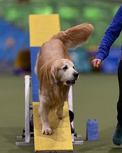 20260221-0809.jpg