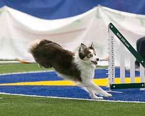 20150322-LEAP-0868.jpg