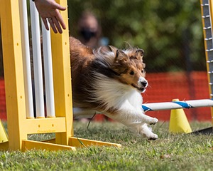 20200819-1031.jpg