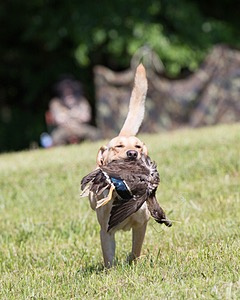 20130601-SHRL-0356.jpg