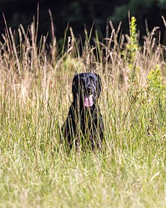 20230805-SHL-0005.jpg