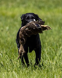 20220605-FINL-1896.jpg