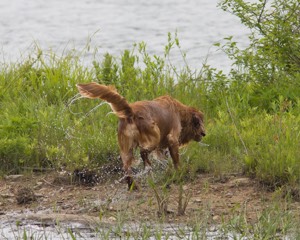 20080531-HRW-0334.jpg