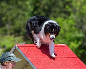 Kona Destremps