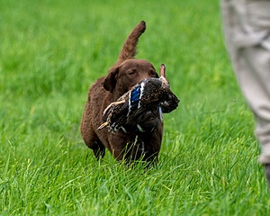20170603-SHRL-0656.jpg