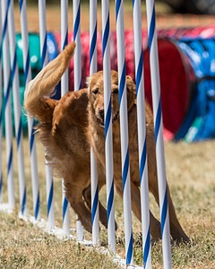 20160618-CCKC-1178.jpg