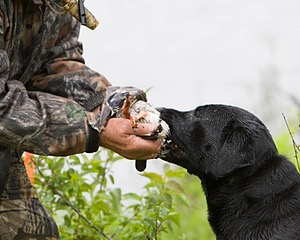 20080531-HRW-1138.jpg