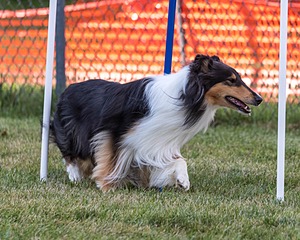 20200819-2937.jpg