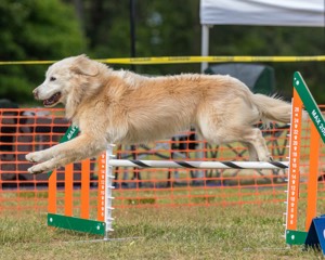 Winona McNamara