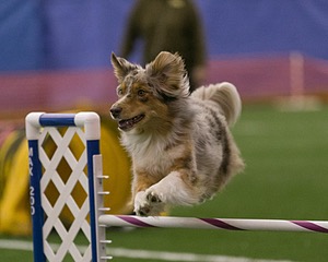 20150321-LEAP-0291.jpg
