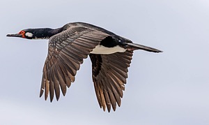 20191214-0312.jpg