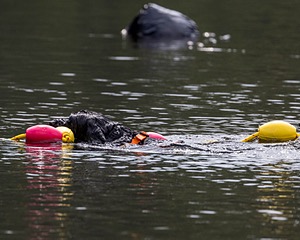 Rio Abbruzzese