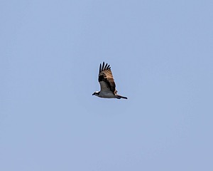 20190804-C-0032.jpg