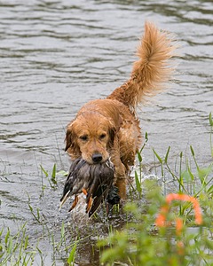 20080531-HRW-0315.jpg