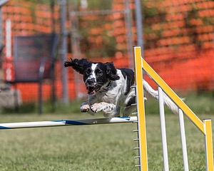 20200819-2420.jpg