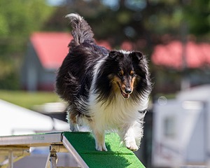 20180617-1348.jpg