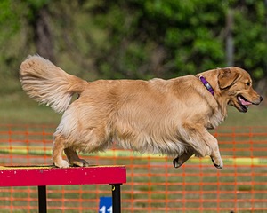 20190615-CCKC-0144.jpg