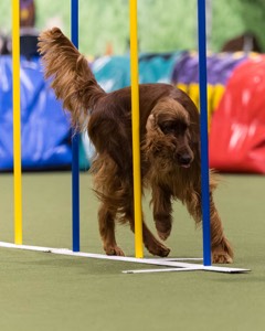 Britta Bush