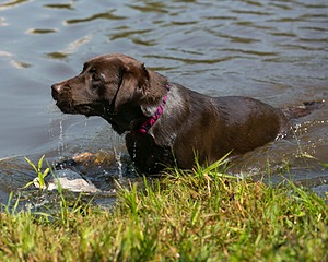Wynnie Gurlacz