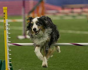 20150321-LEAP-1440.jpg