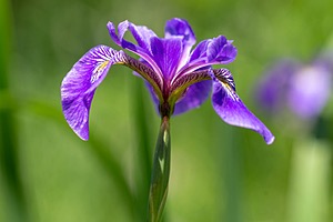 20180707-0144.jpg