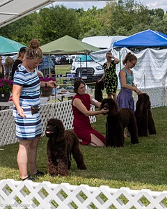 20220615-SW-0296.jpg