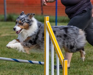 20200819-0211.jpg