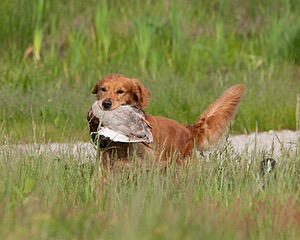 20080531-HRL-0061.jpg