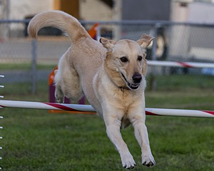 20230916-PVKC-1744.jpg