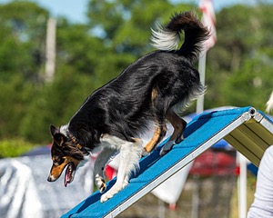 20180617-0305.jpg