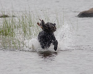 20080531-HRW-1050.jpg