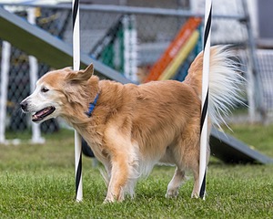 20230917-PVKC-2798.jpg