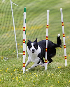 20160515-NEAT-0666.jpg