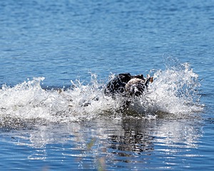 Piper Rose Magnuson