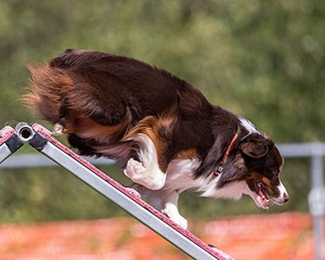 20200819-2197.jpg