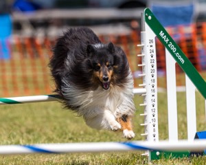 20180617-1441.jpg