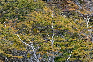 20260327-0141.jpg