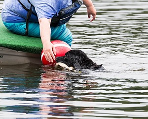 Darwin