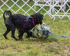 "Mistral" & Tobi-Ann