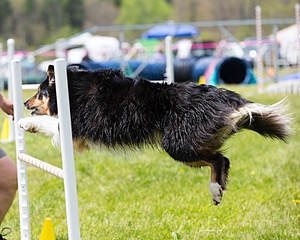 20160514-NEAT-0697.jpg