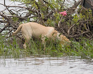 20080531-HRW-0386.jpg