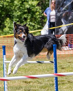 20180616-0748.jpg