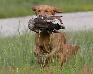 20080531-HRL-0028.jpg
