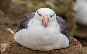 20191211-0688.jpg
