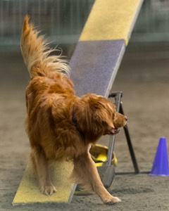 Pup-Pup Beaulieu