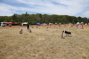 20150614-CCKCMC-0124.jpg