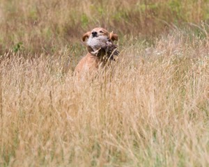 20130713-SHL-0986.jpg